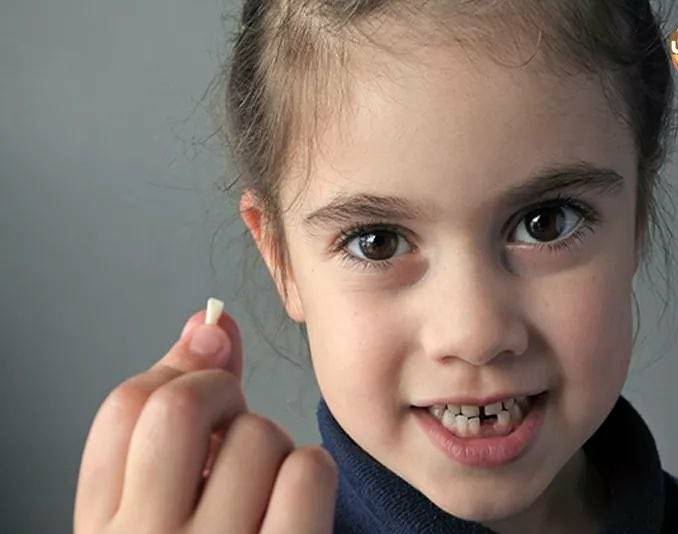 ألاسنان أللبنيه لا ترمى تحتفظ في بنوك