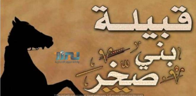 قبيلة بني صخر... قبيلة السيوف والرماح