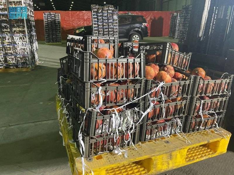 السعودية : إحباط تهريب مواد مخدرة  داخل شحنة فاكهة قادمة من لبنان.. صور