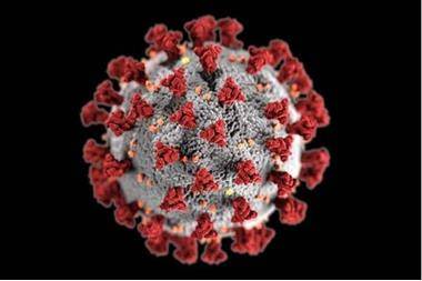 اكتشاف فيروس جديد شبيه بكورونا في بريطانيا