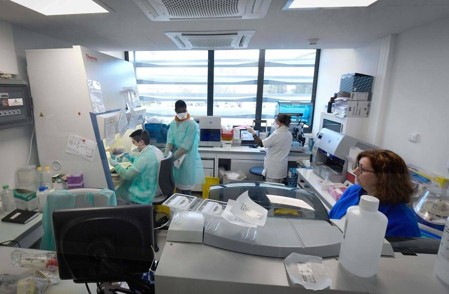 علماء يطالبون منظمة الصحة العالمية بفتح تحقيق آخر في منشأ فيروس كورونا