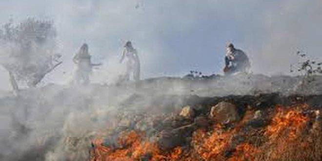 مستوطنون إسرائيليون يحرقون 15 دونماً من أراضي الفلسطينيين الزراعية في الخليل