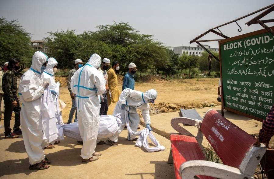 بعد الأبيض والأسود.. ظهور فطر أصفر أشد فتكاً بالهند