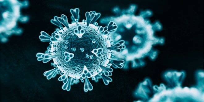 دراسة: خمس ولايات أمريكية كانت لديها إصابات بفيروس كورونا قبل تسجيل الحالات الأولى