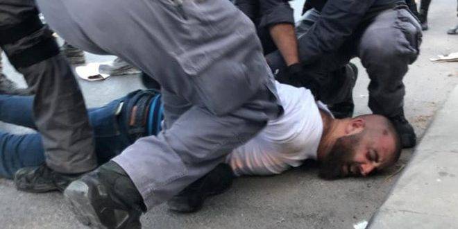 شخصيات عالمية تطالب بوقف انتهاكات الاحتلال بحق الفلسطينيين