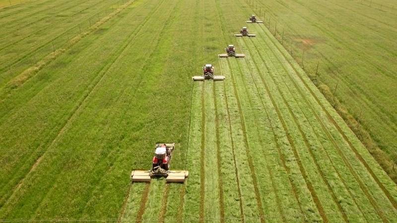 ارتفاع أسعار المواد الغذائية أزمة جديدة للدول الفقيرة