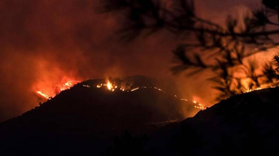 مقتل 4 مصريين في أسوأ حرائق غابات تجتاح قبرص منذ عقود