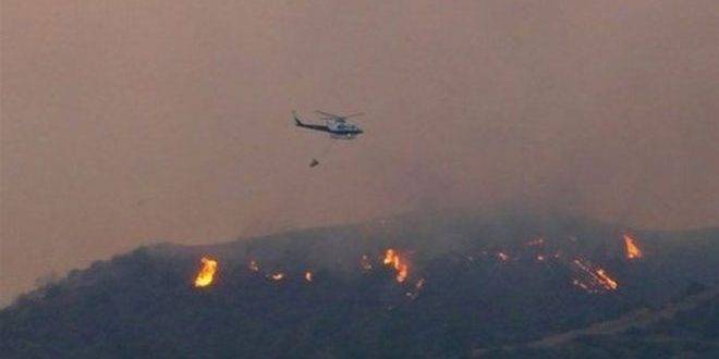 السلطات القبرصية تعلن السيطرة بشكل كامل على حريق الغابات