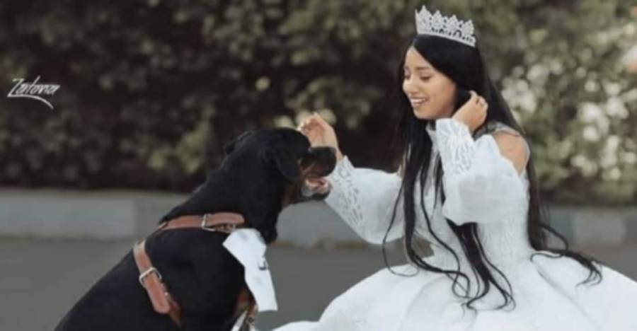 أول تعليق من الإفتاء المصرية على زواج فتاة مصرية من كلب