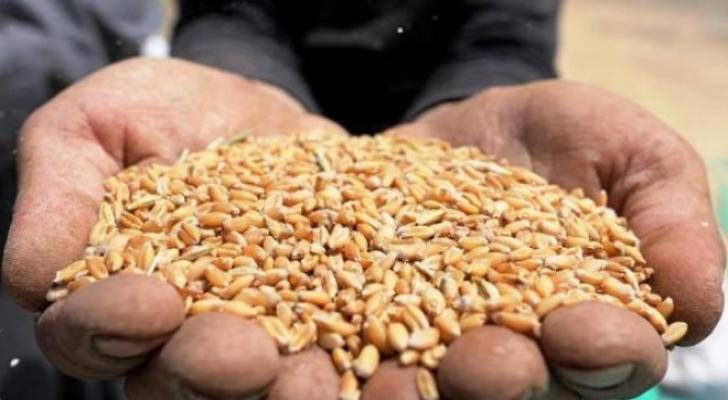 طرح مناقصة لشراء 120 ألف طن من القمح