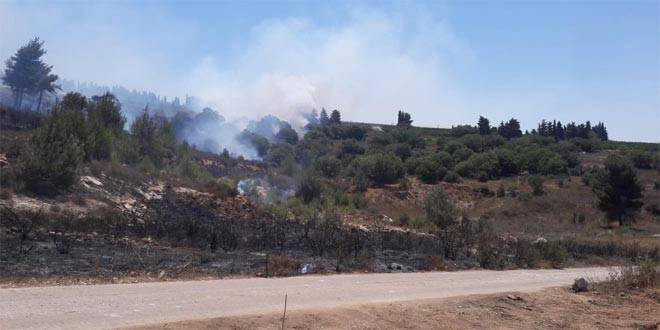 انفجار 8 ألغام من مخلفات الجيش الإسرائيلي جراء حريق بجنوب لبنان