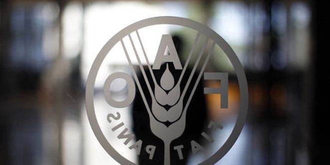 كورونا قد يفاقم الجوع في العالم