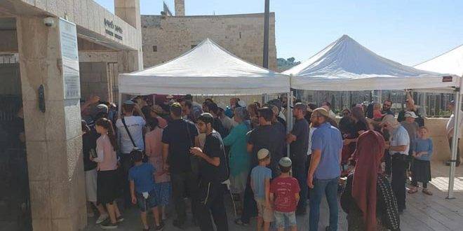 أكثر من 300 مستوطن يجددون اقتحام الأقصى بحماية قوات الاحتلال