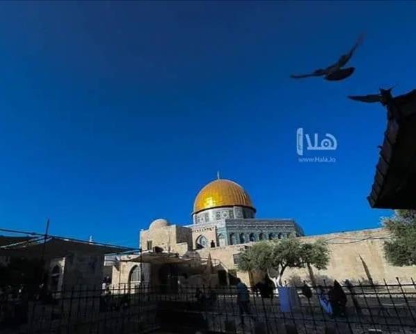 كنعان: الزيارة الملكية لأميركا دفاع عن القضية الفلسطينية والقدس