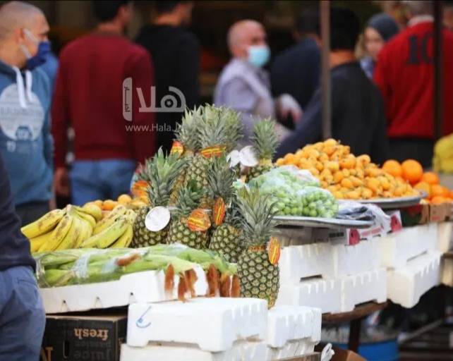 تجار قطريون: منتجات الخضار والفاكهة الأردنية تضبط إيقاع الأسعار بالسوق