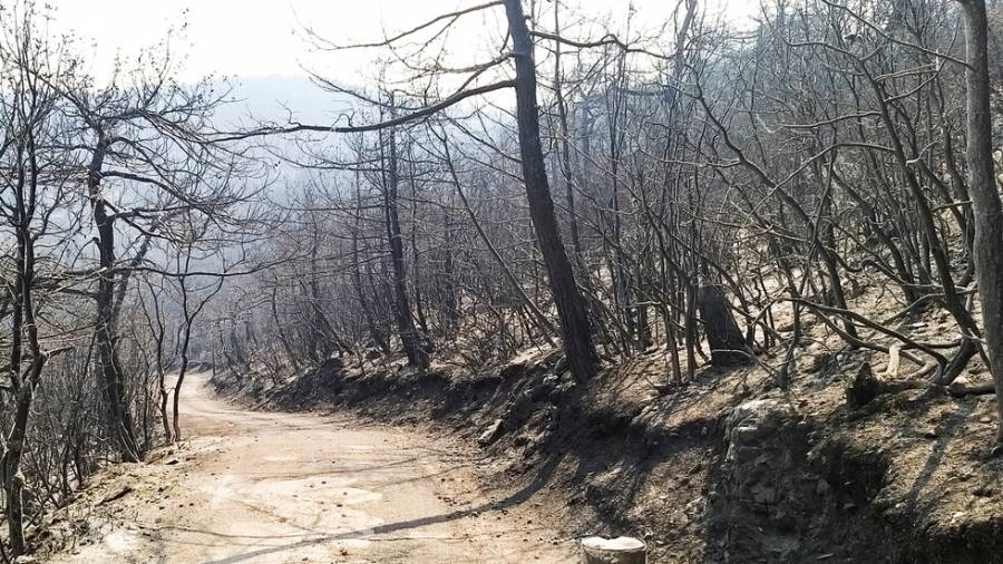 حرائق شمال لبنان تتمدد نحو الحدود السورية