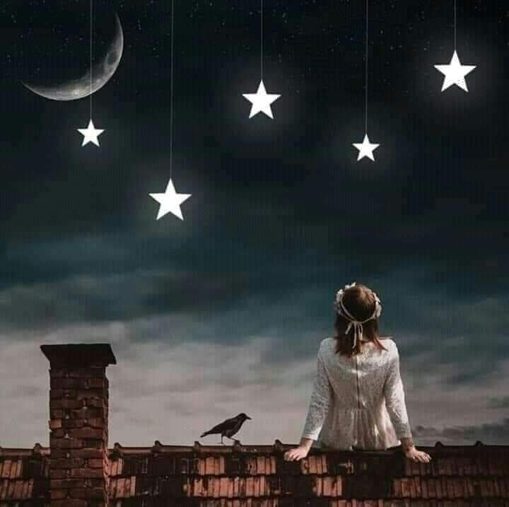 الكندي تكتب خاطرة.. شط الخليج