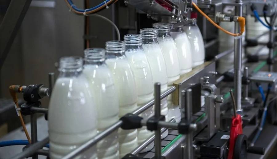 الجغبير: مصانع الألبان ستلتزم بالأسعار