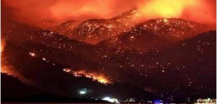 وفاة سبعة أشخاص جراء الحرائق في الجزائر