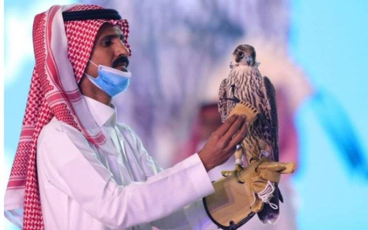 أغلى صقر في العالم يباع بمزاد سعودي مقابل 64 ألف ريال