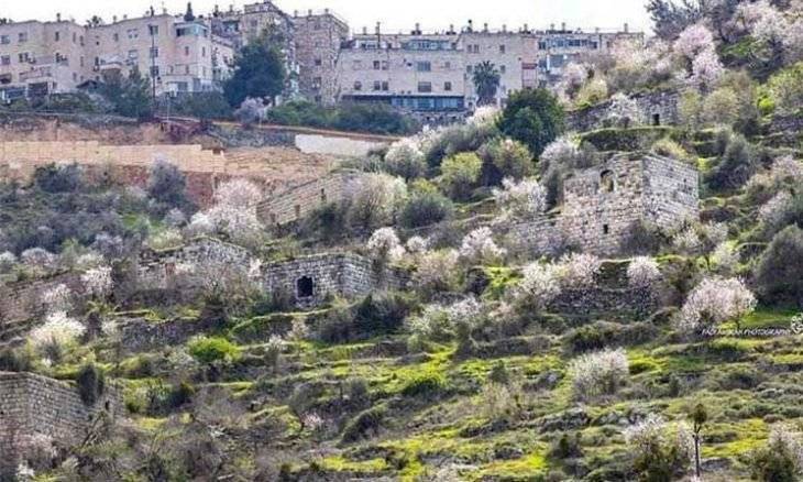 قرية لفتا الفلسطينية.. “للبيع” في مزاد إسرائيلي.