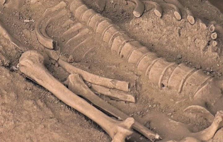 العثور على هيكل عظمي في إندونيسيا من مجموعة بشرية مجهولة