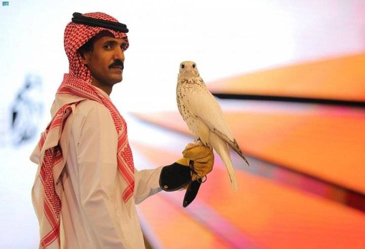 السعودية.. بيع أغلى صقر في العالم مقابل 1,750,000 ريال
