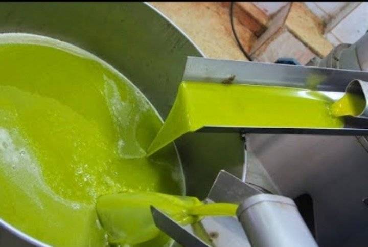 650 فلسا لكل كيلوغرام زيت منتج من عصر الزيتون