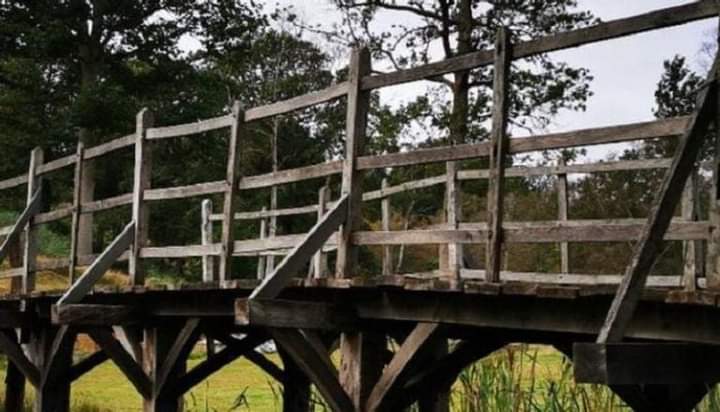 بيع جسر خشبي بـ180 ألف دولار.. ما السر؟