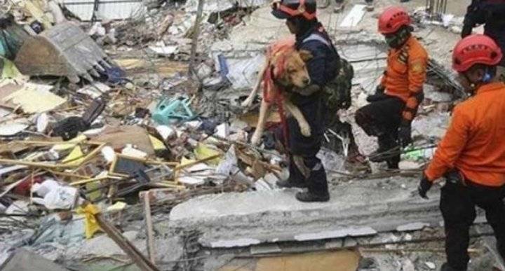 مقتل 3 أشخاص وإصابة 7 في زلزال ضرب جزيرة بالي الإندونيسية