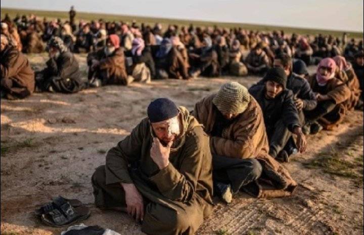 50 داعشيا يسلمون أنفسهم في أفغانستان