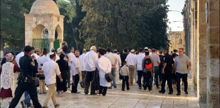 المستوطنين يقتحمون الأقصى بحماية قوات الاحتلال