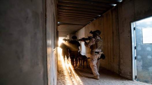 تدريبات عسكرية إماراتية وبحرينية وإسرائيلية وأميركية في البحر الأحمر