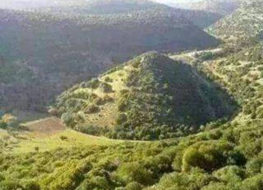 المزار الشمالي مزمار الطبيعة