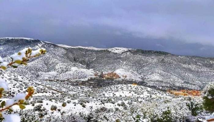 الجزائر تشهد ثلوجا كثيفة