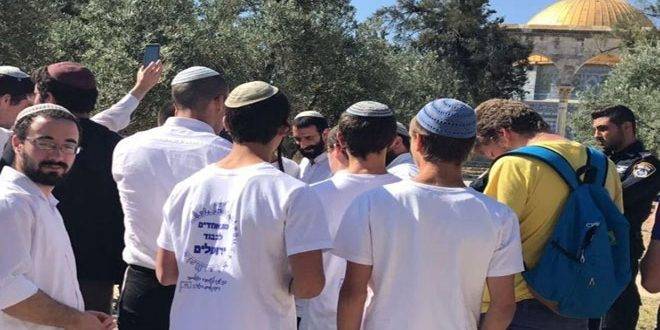 عشرات المستوطنين يجددون اقتحام الأقصى