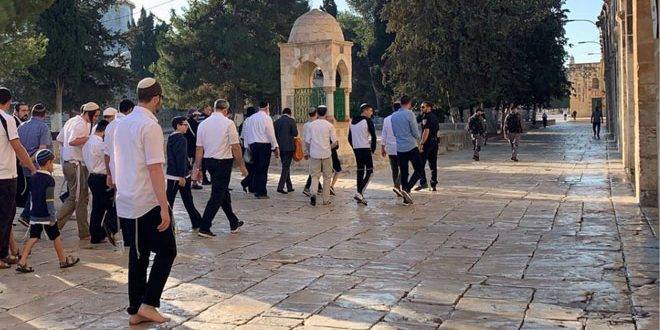 مستوطنون إسرائيليون يجددون اقتحامهم المسجد الأقصى