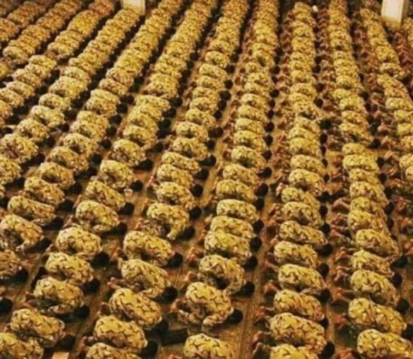 أسعار الذهب في الأردن ليوم الخميس... تفاصيل