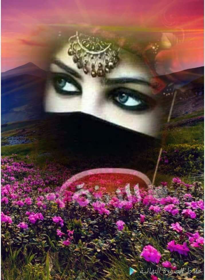 الكندي تكتب مش عويدك