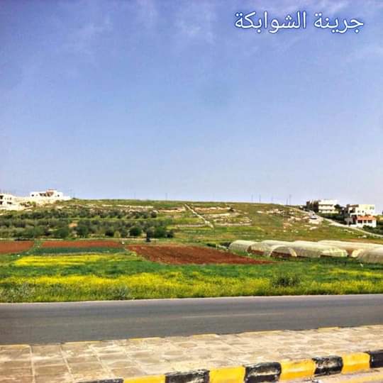 جرينة ؛  جنينة مأدبا الريّانة بالحب والحقول .