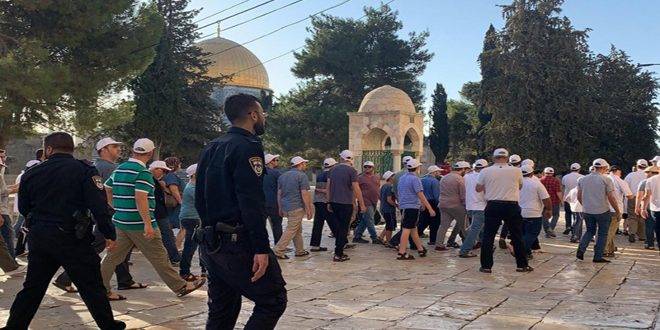 عشرات المستوطنين يقتحمون الأقصى بحماية قوات الاحتلال