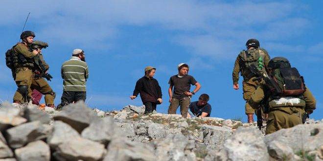 إصابة فلسطيني واعتقال 4 باعتداء الاحتلال على المزارعين بالأغوار