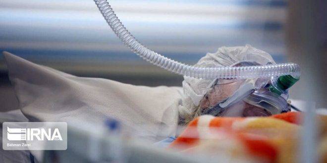 إيران تسجل 1002 إصابة جديدة و33 وفاة بكورونا