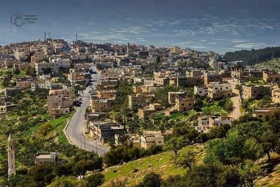 هاشمية اليوم... فاره الامس... جوانة المسك... عجلون