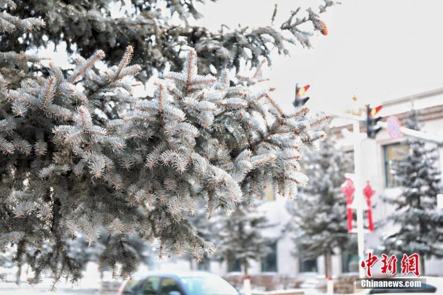 مدينة صينية تسجل درجة حرارة 43 تحت الصفر... صور