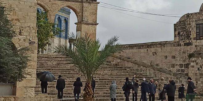 عشرات المستوطنين يجددون اقتحام الأقصى