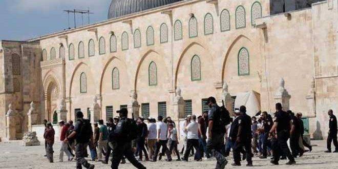 الأوقاف الفلسطينية تستنكر مواصلة الاحتلال اعتداءاته على المقدسات
