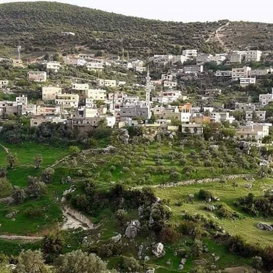 باعون  صوفية الهوى مملوكية الارث... عجلون
