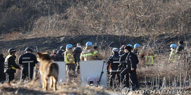مصرع طيار جراء تحطم طائرة مقاتلة في كوريا الجنوبية