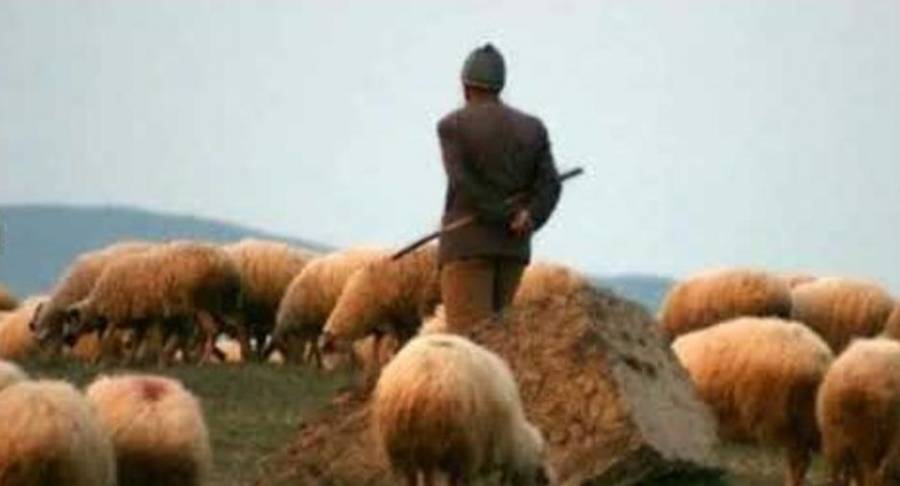 راعي غنم فقير رُزق بسبب ذئب اصبح أحد أكبر أثرياء العرب... قصة نجاح